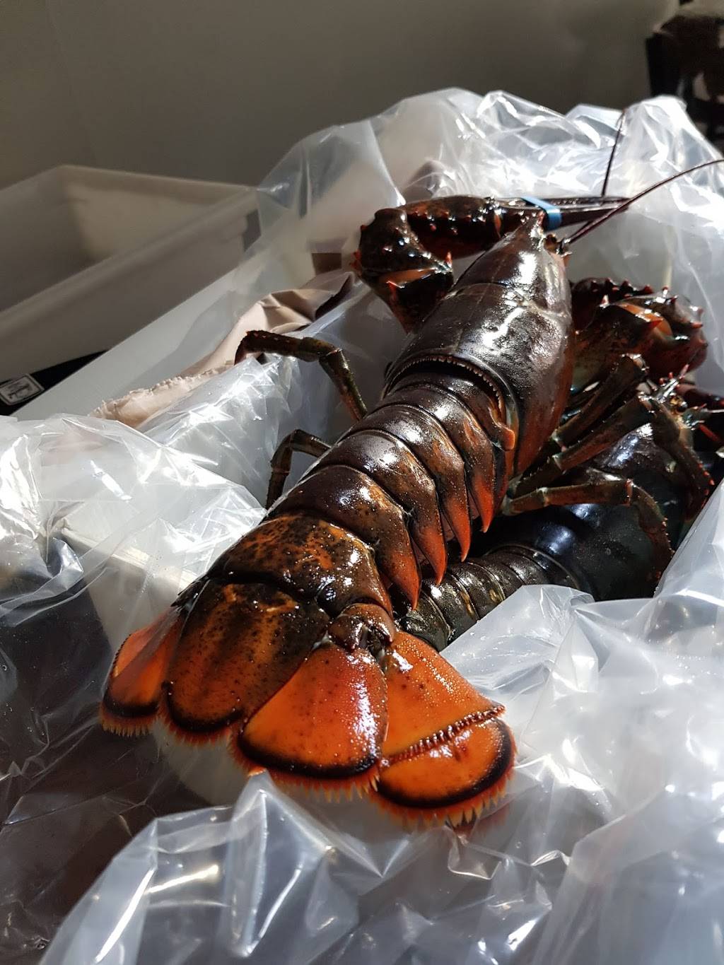 GAO VIET KITCHEN | restaurant | 313 S San Mateo Dr, San Mateo, CA 94401, USA | 6504772524 OR +1 650-477-2524