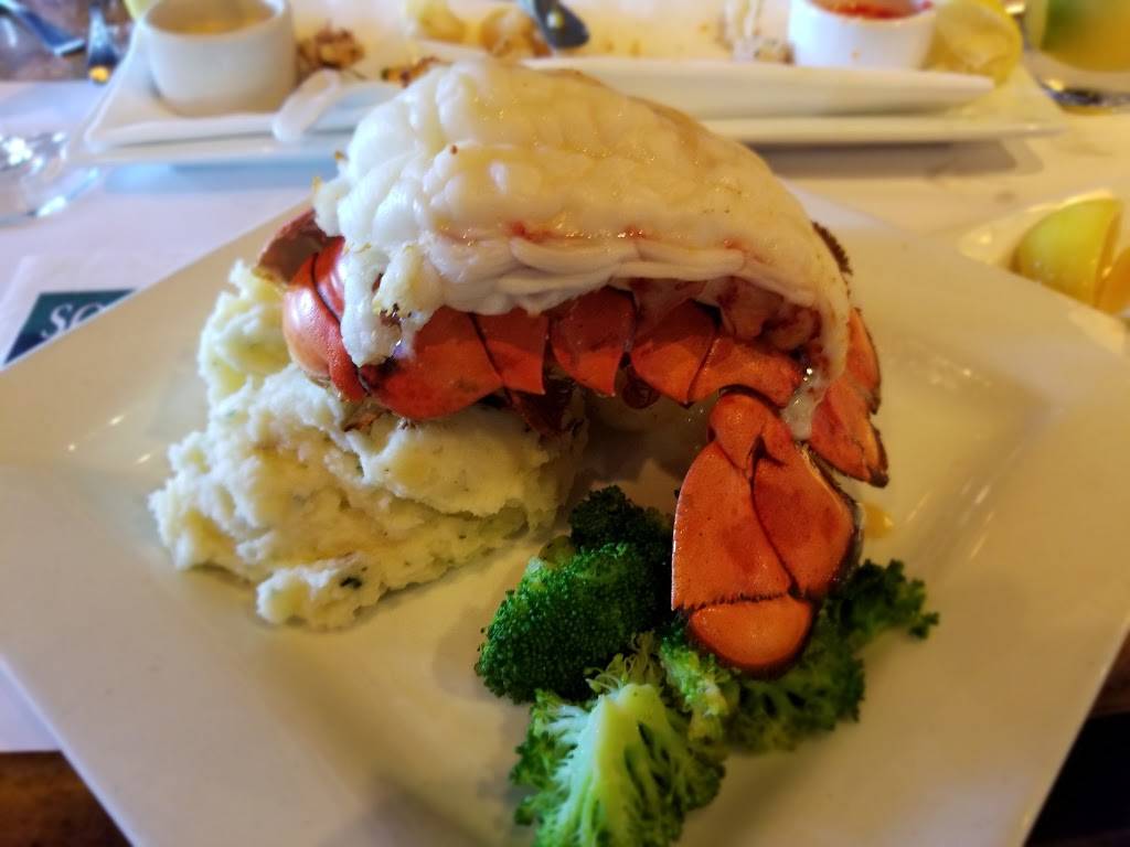 Scotts Seafood Grill & Bar | restaurant | 9611 Greenback Ln, Folsom, CA 95630, USA | 9169896711 OR +1 916-989-6711