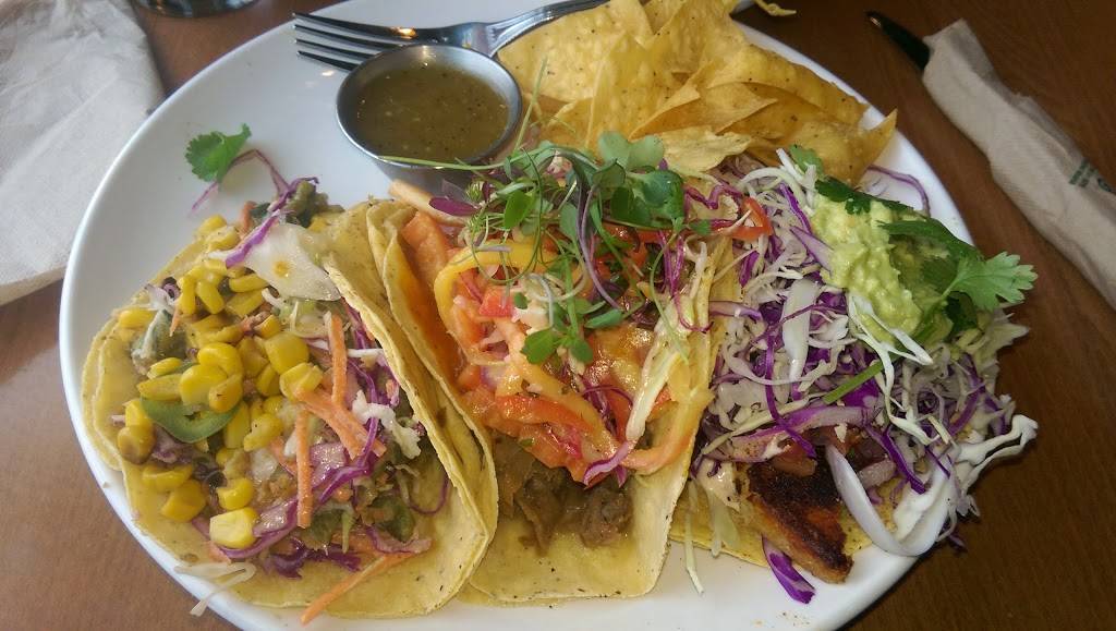 Native Foods Cafe | cafe | 5604 Balboa Ave #107, San Diego, CA 92111, USA | 8582782855 OR +1 858-278-2855