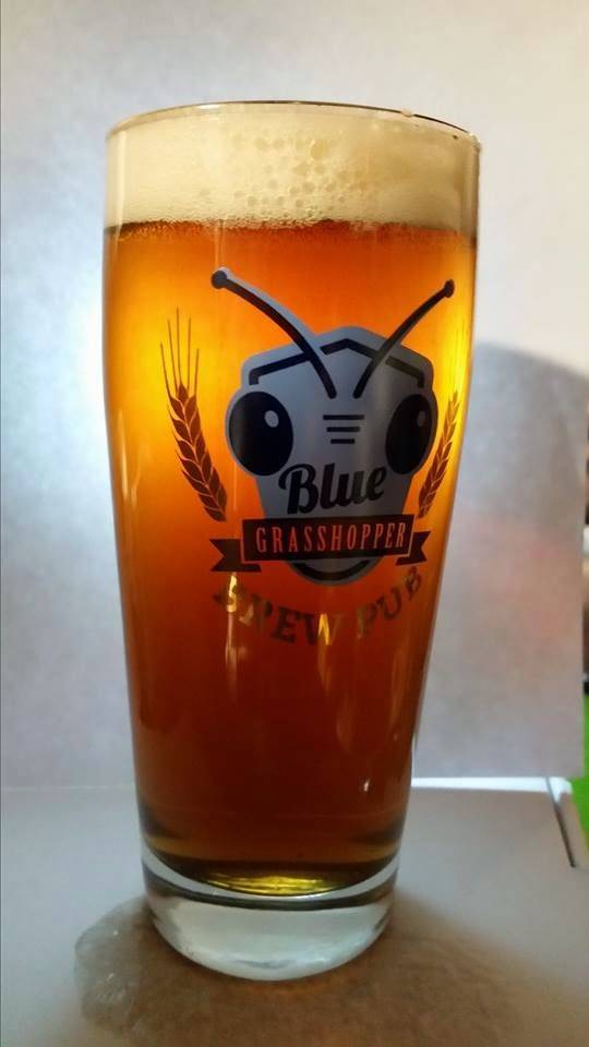 The Blue Grasshopper Pizza | meal takeaway | 4500 Arrowhead Ridge Dr SE, Rio Rancho, NM 87124, USA | 5058968579 OR +1 505-896-8579