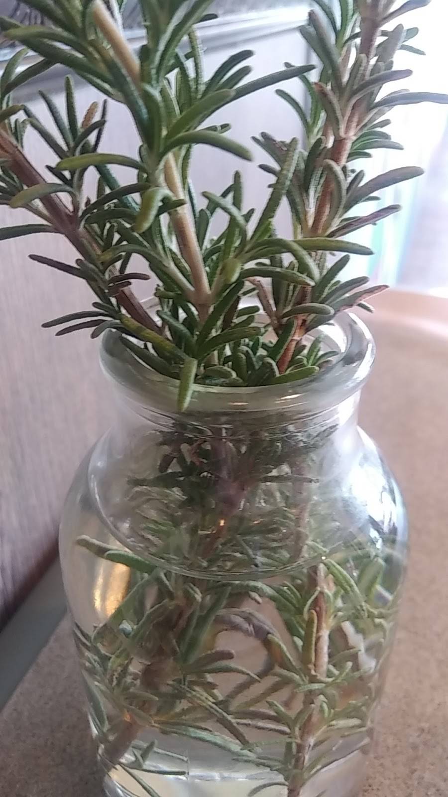 Viva Be BowlD | restaurant | 7038 N Cedar Ave, Fresno, CA 93720, USA | 5597126062 OR +1 559-712-6062