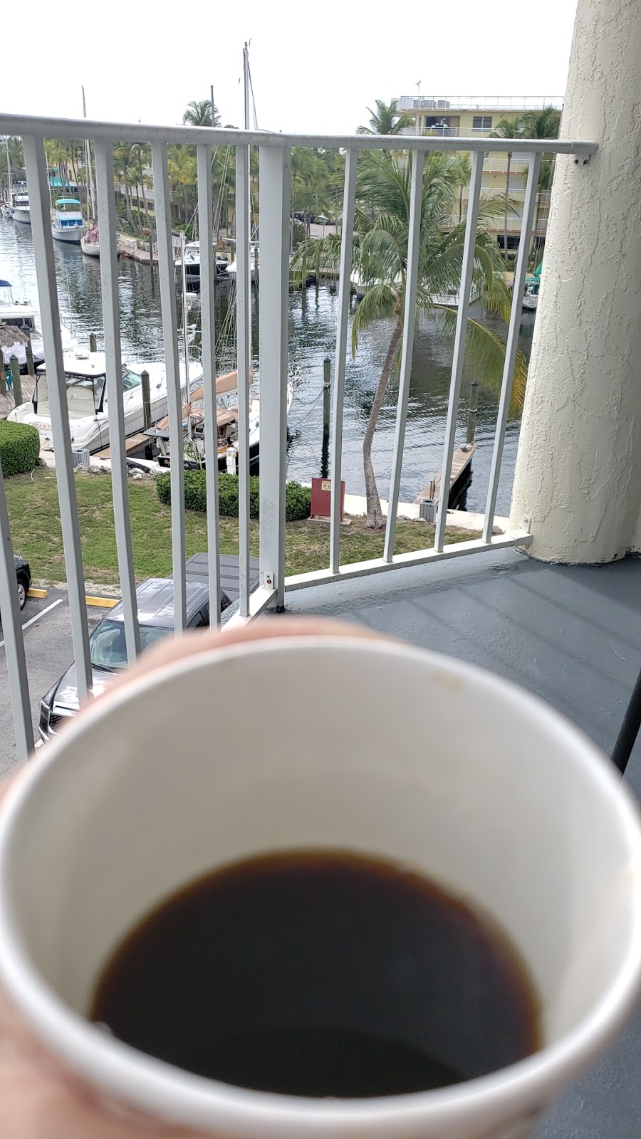 Starbucks | cafe | 2925 NE 8th St, Homestead, FL 33033, USA | 3053174816 OR +1 305-317-4816