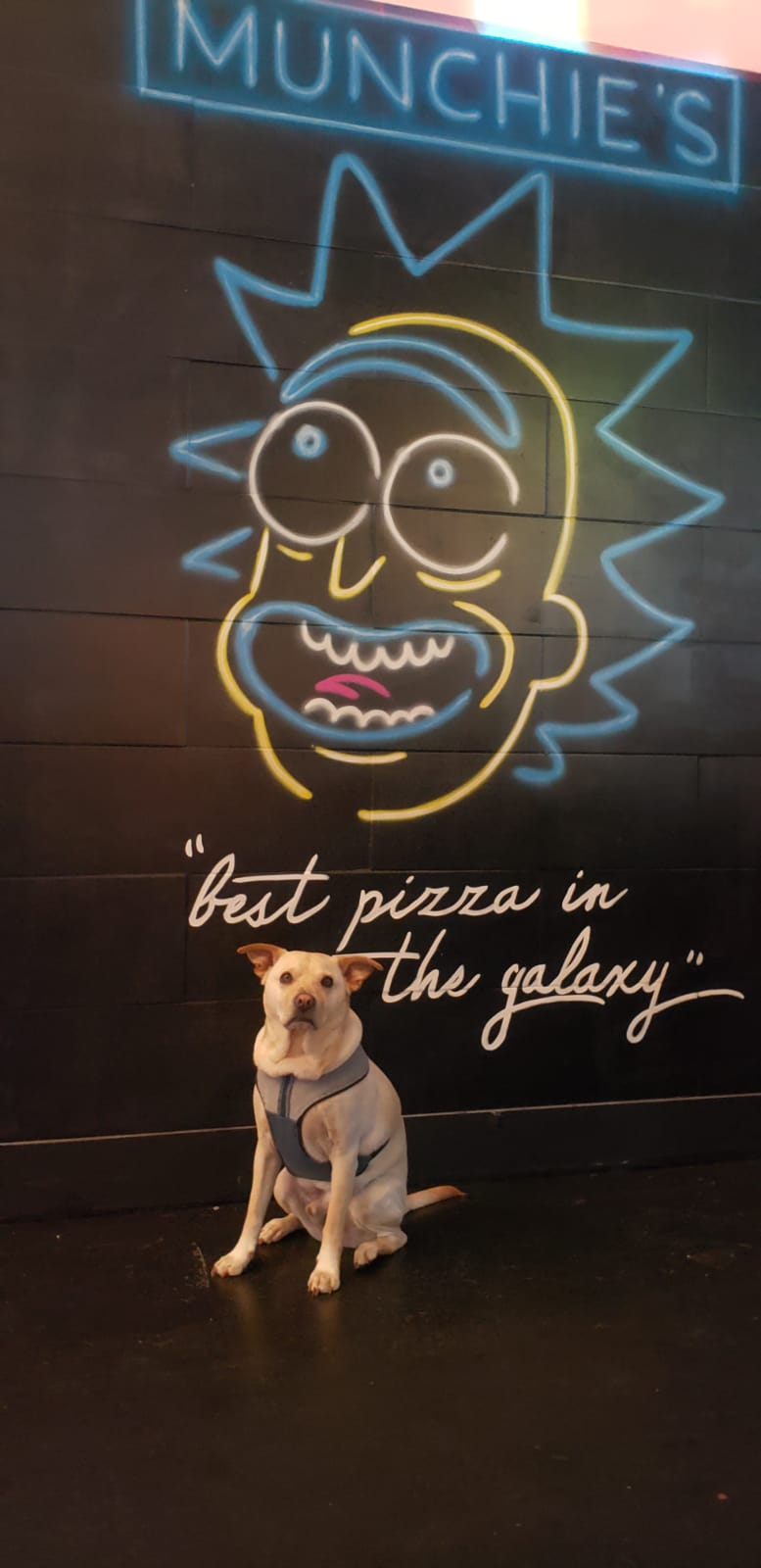 Munchies Pizza Club | restaurant | 200 SW 2nd St, Fort Lauderdale, FL 33301, USA | 9545468624 OR +1 954-546-8624