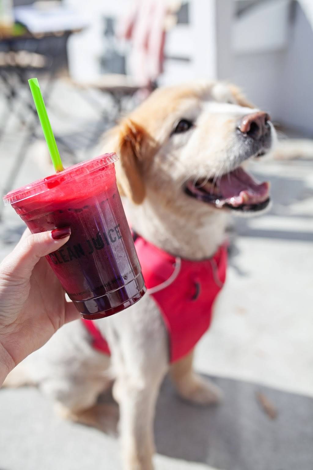 Clean Juice | restaurant | 11670 Parkside Dr, Knoxville, TN 37934, USA | 8656715670 OR +1 865-671-5670