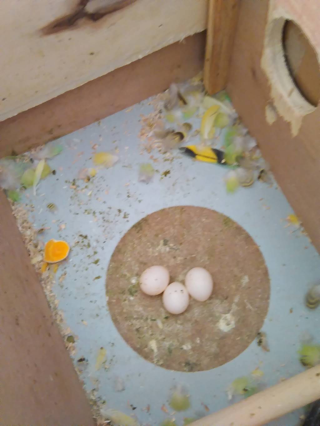 Venatel | restaurant | 555 N 10th St, Reading, PA 19604, USA | 6103707699 OR +1 610-370-7699