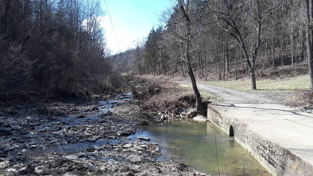 Kelliones Pizza | restaurant | 219 S Walnut St Suite 9, Cynthiana, KY 41031, USA | 8592982048 OR +1 859-298-2048