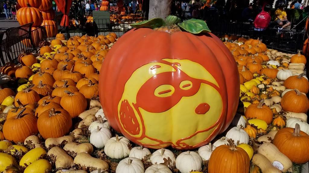 Panda Express | meal takeaway | 2401 Agnew Rd #741, Santa Clara, CA 95054, USA | 4089709232 OR +1 408-970-9232