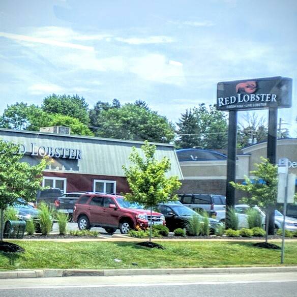 Red Lobster | restaurant | 12235 St Charles Rock Rd, Bridgeton, MO 63044, USA | 3142918680 OR +1 314-291-8680