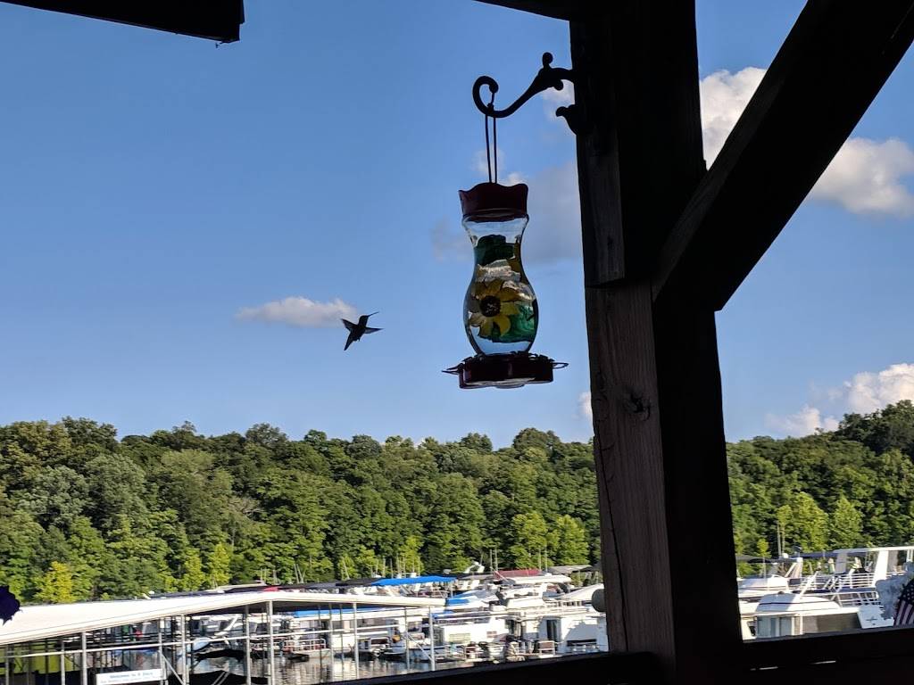 Hoosier Hills Marina | restaurant | 10306 E Lick Fork Marina, Celestine, IN 47521, USA | 8126783313 OR +1 812-678-3313