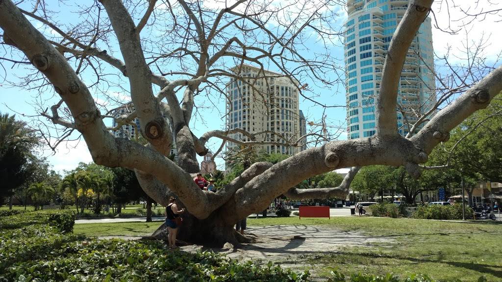 Museum of Fine Arts | restaurant | 255 Beach Dr NE, St. Petersburg, FL 33701, USA | 7278962667 OR +1 727-896-2667