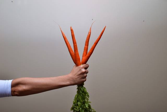 colour palate TOSA | restaurant | 7488 W State St, Wauwatosa, WI 53213, USA | 4143862212 OR +1 414-386-2212