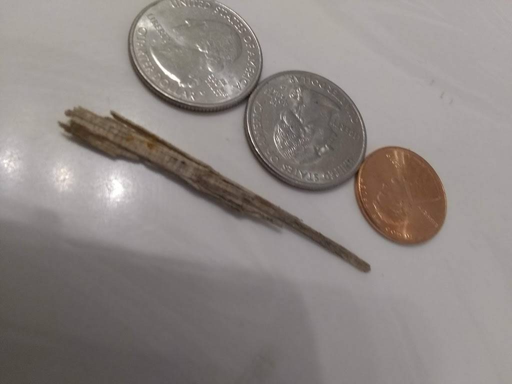 China Wok | restaurant | 2000 Lee Trevino Dr G, El Paso, TX 79936, USA | 9156297708 OR +1 915-629-7708