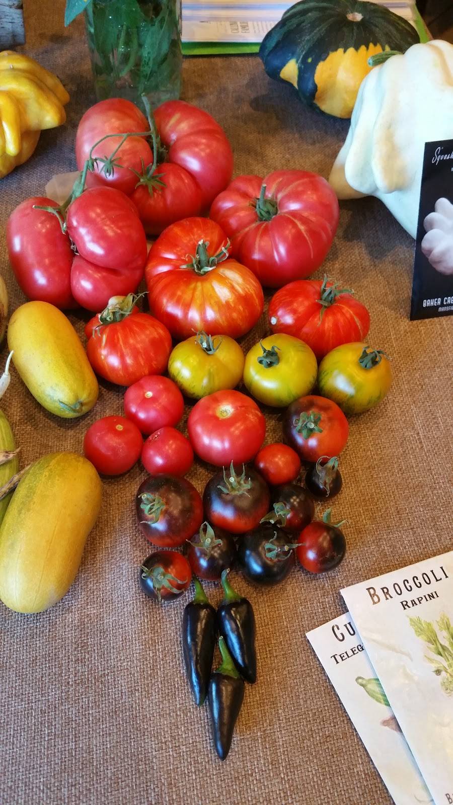 Greens on Tenth | cafe | 953 10th St, Modesto, CA 95354, USA | 2095721700 OR +1 209-572-1700