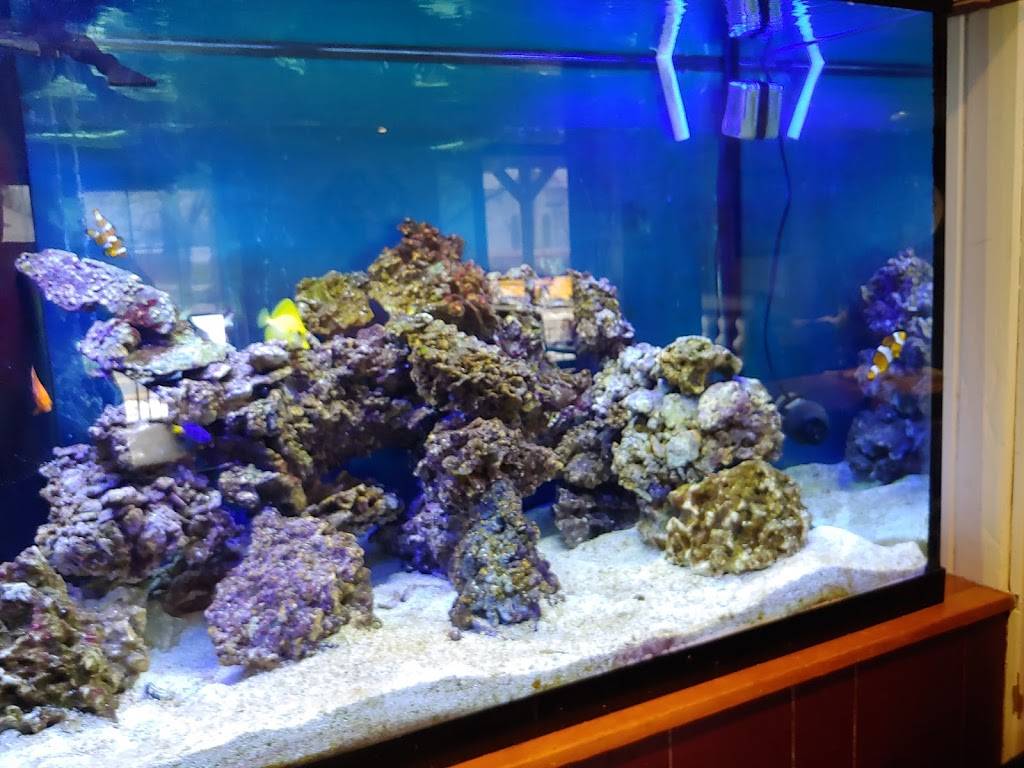 Maine Fish Market & Restaurant | restaurant | 60 Bridge St, East Windsor, CT 06088, USA | 8606232281 OR +1 860-623-2281