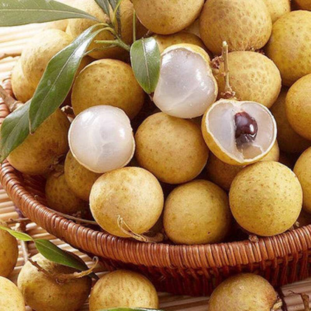 Mr.Chens | restaurant | 5461 Atlanta Hwy, Montgomery, AL 36109, USA | 3342609558 OR +1 334-260-9558