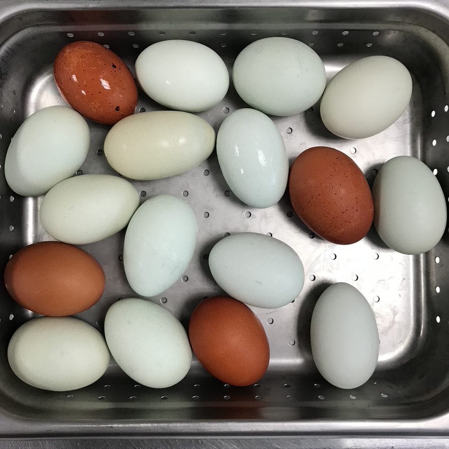 Salt & Time Cafe | restaurant | 422 W 5th St C, Austin, TX 78701, USA | 5125025027 OR +1 512-502-5027