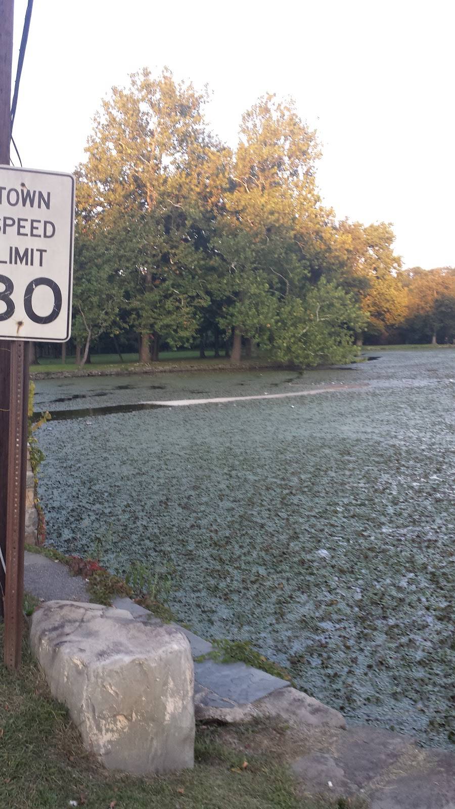 Franks | restaurant | 154 S Plank Rd, Newburgh, NY 12550, USA | 8455621500 OR +1 845-562-1500