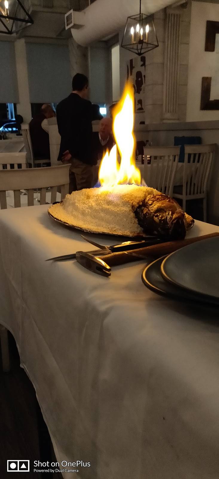 Philoxenia Greek Cuisine | restaurant | 8199 Yonge St, Thornhill, ON L3T 2C6, Canada | 9058866566 OR +1 905-886-6566