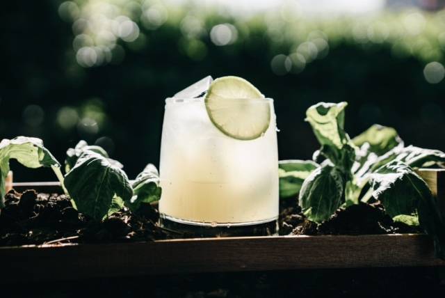 Stoney River Steakhouse and Grill | restaurant | 155 W Big Beaver Rd, Troy, MI 48084, USA | 2489254730 OR +1 248-925-4730