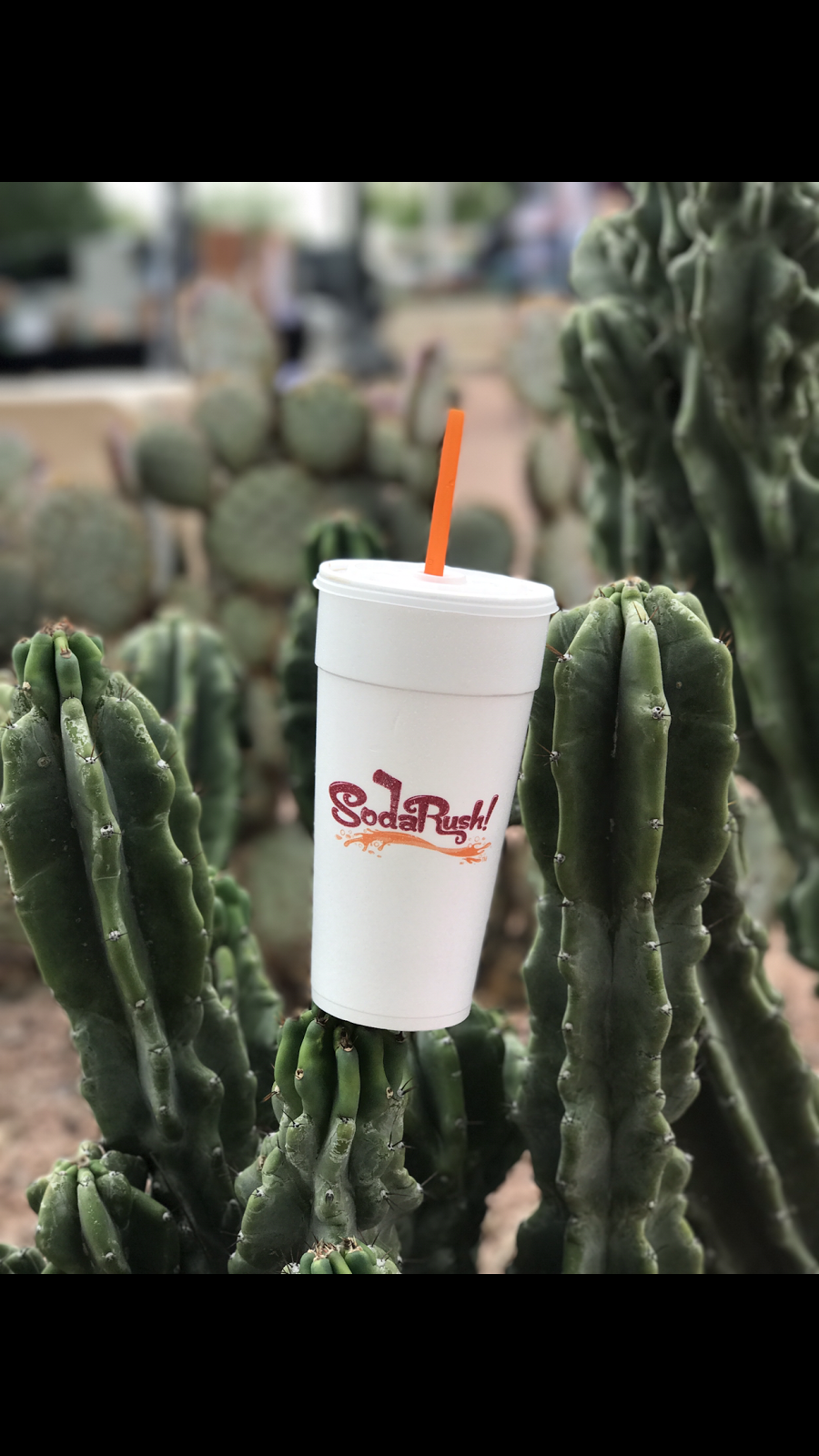 Soda Rush | restaurant | 9265 E Baseline Rd #104, Mesa, AZ 85209, USA | 4809866180 OR +1 480-986-6180
