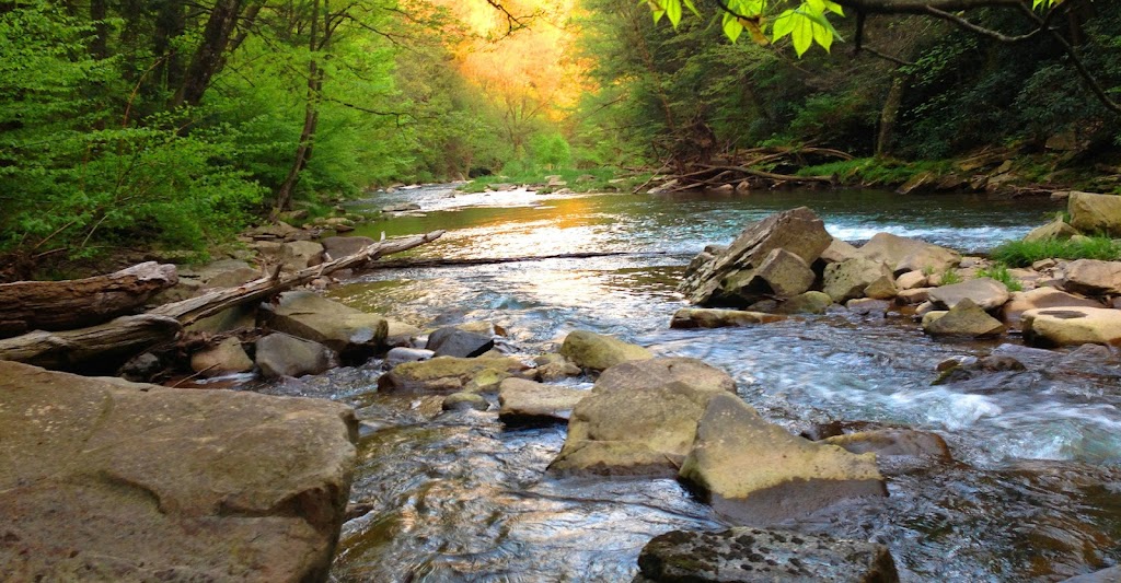 West Tubing Company | restaurant | 6175 Old Hwy 64 W, Warne, NC 28909, USA | 8283898823 OR +1 828-389-8823