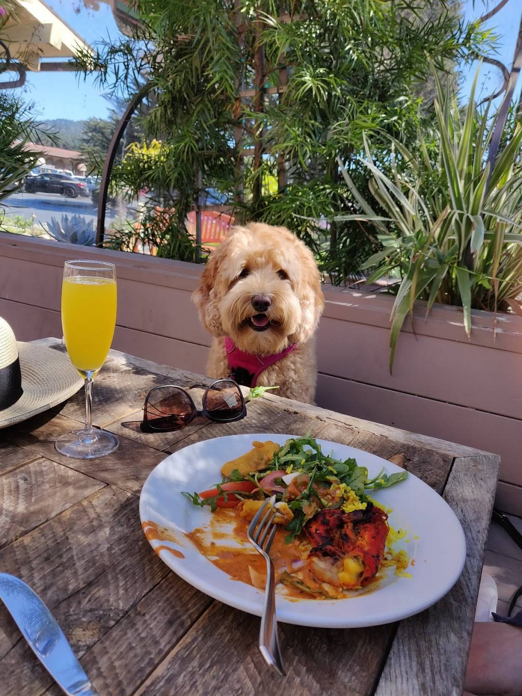 Aabha Indian Cuisine | restaurant | 3690 The Barnyard, Carmel-By-The-Sea, CA 93923, USA | 8312505940 OR +1 831-250-5940