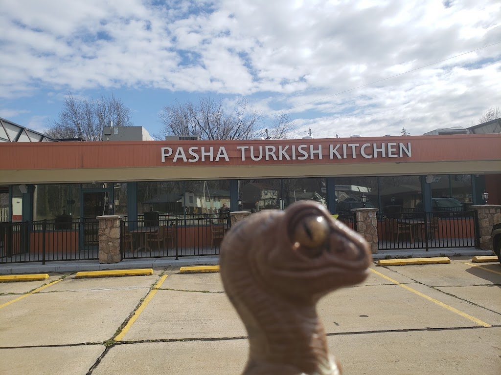 Pasha Turkish Kitchen | restaurant | 31640 Vine St, Willowick, OH 44095, USA | 4402784149 OR +1 440-278-4149