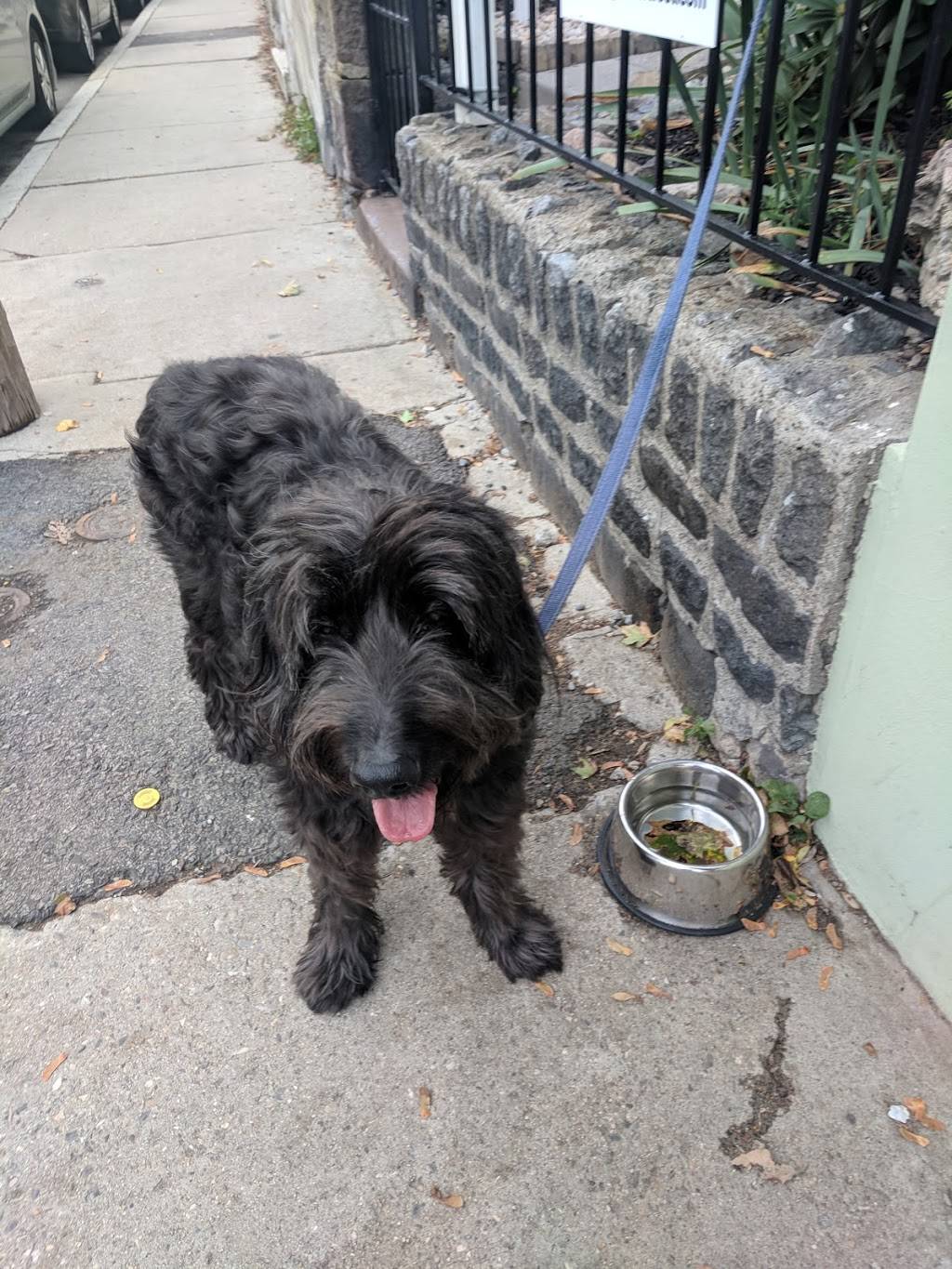 City Feed and Supply | cafe | 66 Boylston St, Jamaica Plain, MA 02130, USA | 6175241657 OR +1 617-524-1657