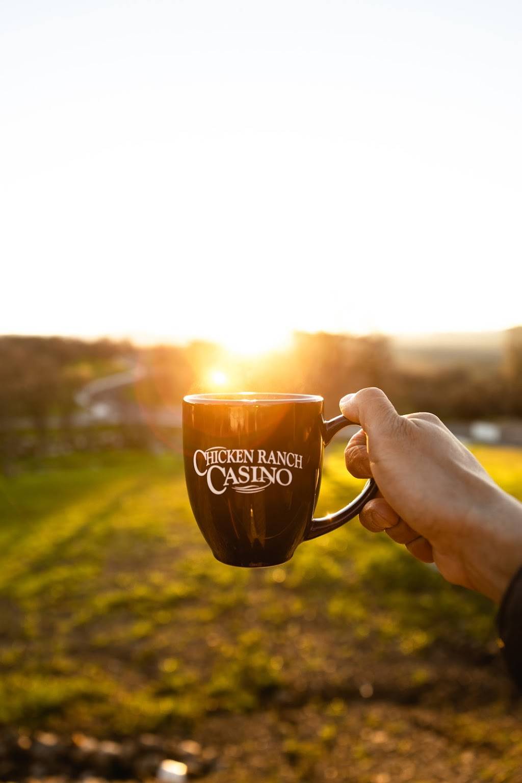 Chicken Ranch Casino | restaurant | 16929 Chicken Ranch Rd, Jamestown, CA 95327, USA | 2099843000 OR +1 209-984-3000