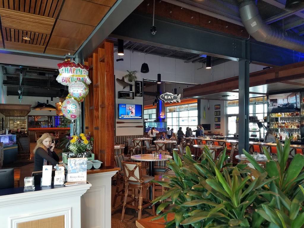 Chesapeakes Seafood Restaurant & Raw Bar | restaurant | 9630 Parkside Dr, Knoxville, TN 37922, USA | 8658519088 OR +1 865-851-9088