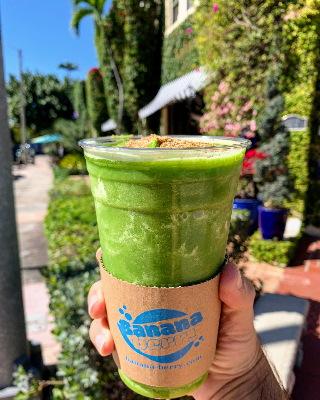 Banana Berry | cafe | 305 Alcazar Ave #1, Coral Gables, FL 33134, USA | 3054036660 OR +1 305-403-6660