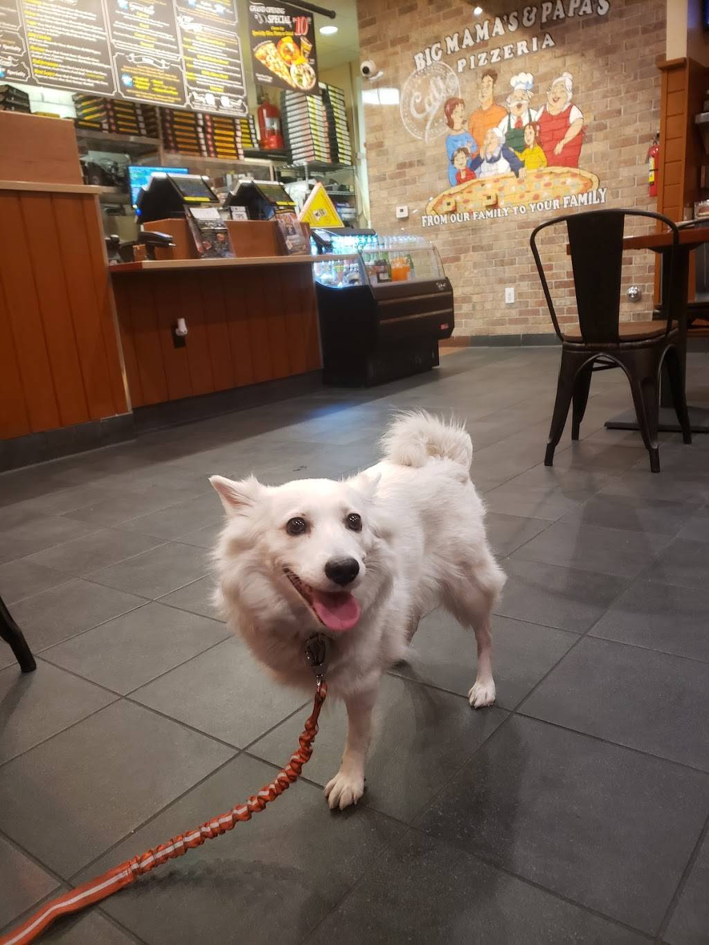 Big Mamas & Papas Pizzeria - Little Armenia | restaurant | 5445 Hollywood Blvd unit b, Los Angeles, CA 90027, USA | 3236611122 OR +1 323-661-1122