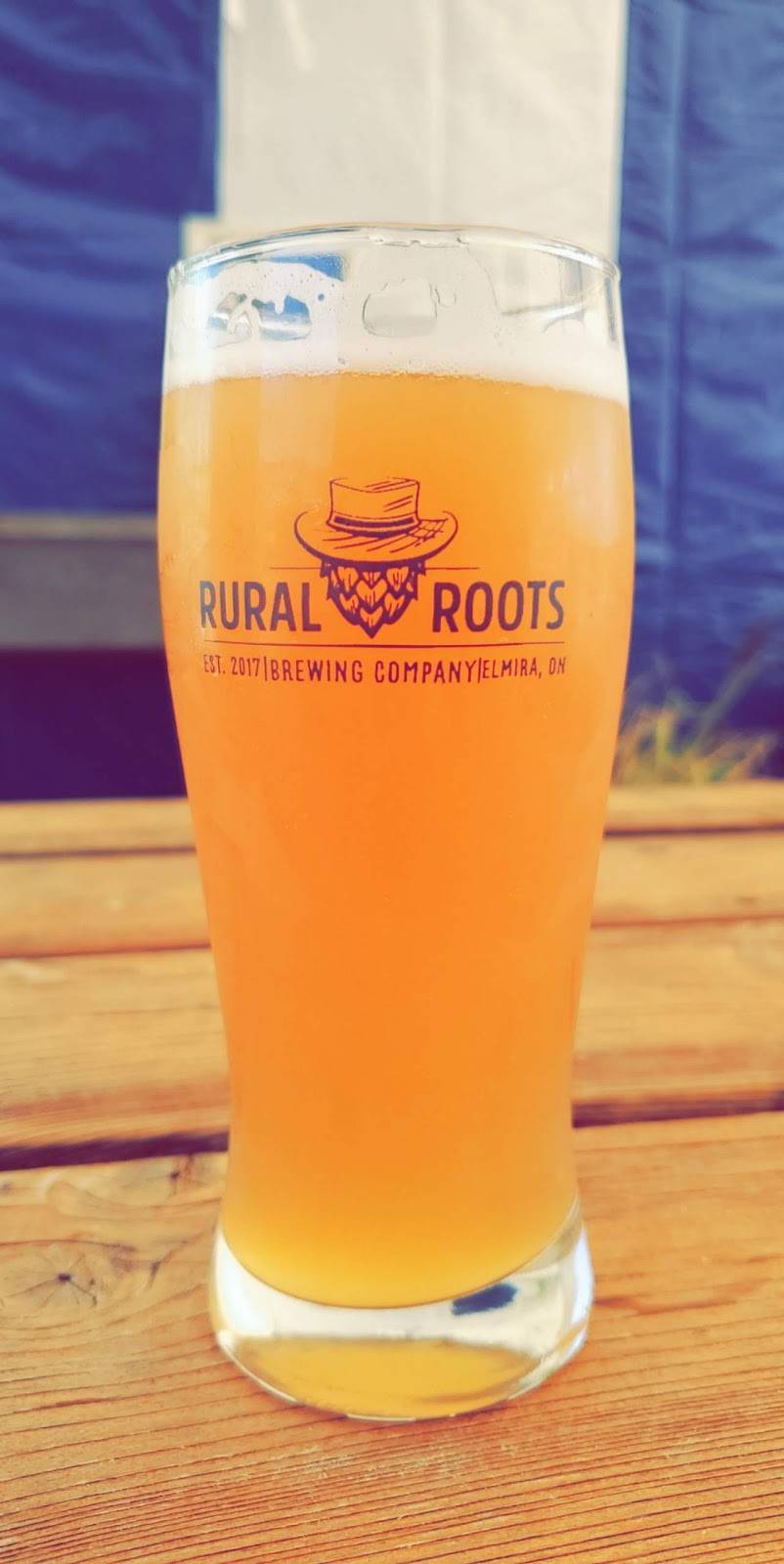 Rural Roots Brewing Company | restaurant | 21B Industrial Dr, Elmira, ON N3B 2S2, Canada | 5192102102 OR +1 519-210-2102