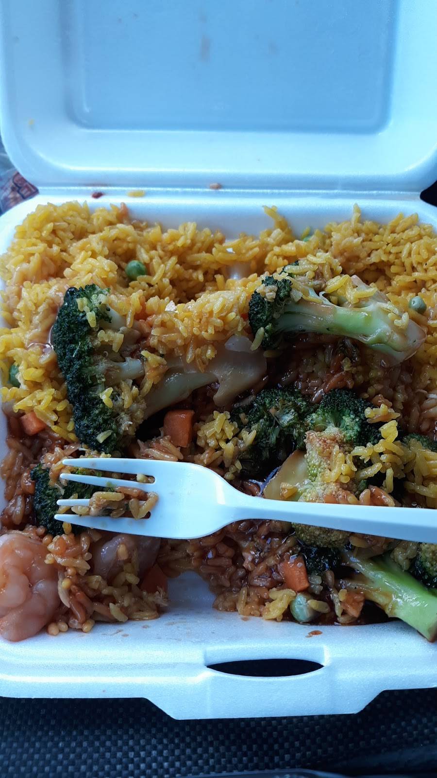 Peking Fast Food | restaurant | 11303 N Nebraska Ave, Tampa, FL 33612, USA | 8139724048 OR +1 813-972-4048