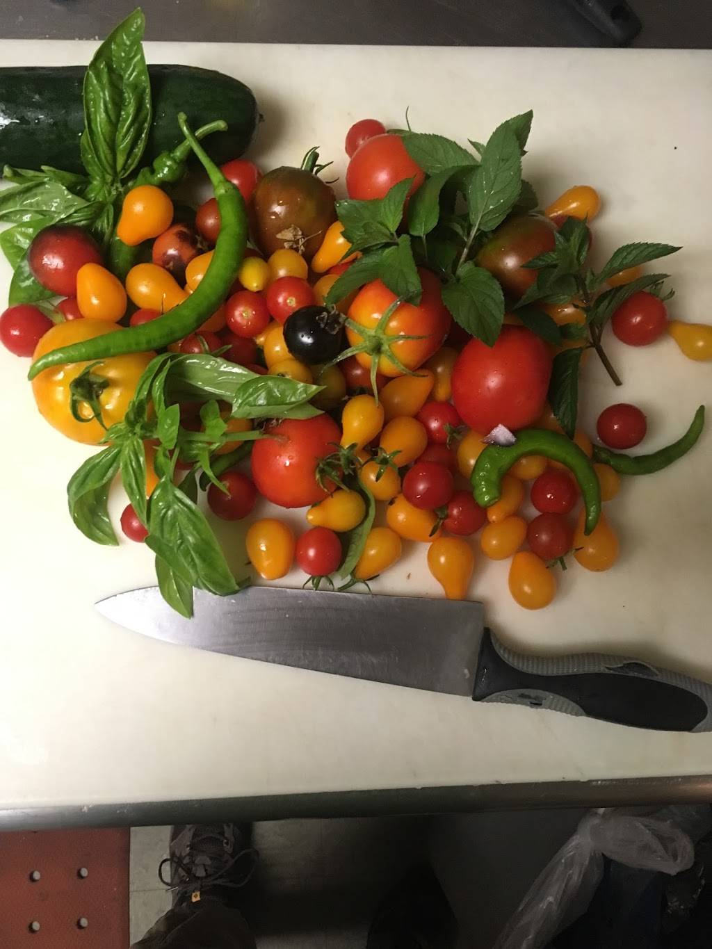 Altn Bachs Town Tap | restaurant | 2602 Whalen Ln, Madison, WI 53713, USA | 6082719955 OR +1 608-271-9955