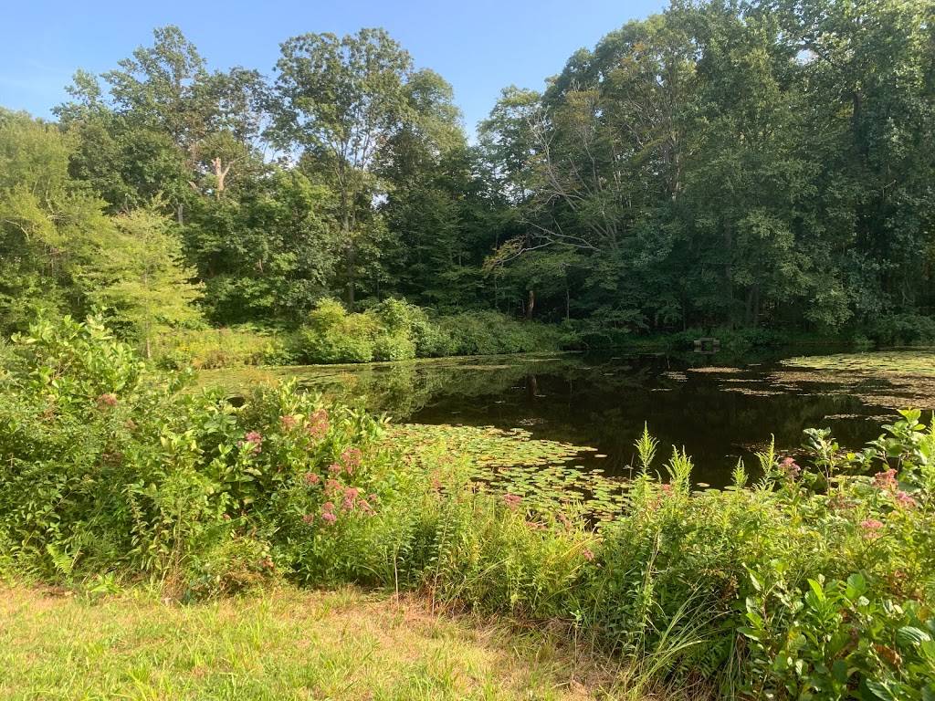 Apizza Grande Deep River | restaurant | 497 Winthrop Rd, Deep River, CT 06417, USA | 8603224597 OR +1 860-322-4597