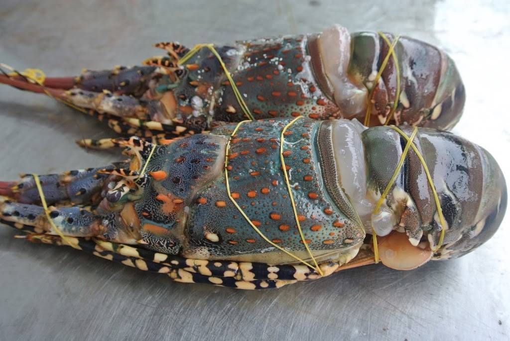 Continental Seafood | restaurant | 2565 Donald Lee Hollowell Pkwy NW #1, Atlanta, GA 30318, USA | 6789730514 OR +1 678-973-0514