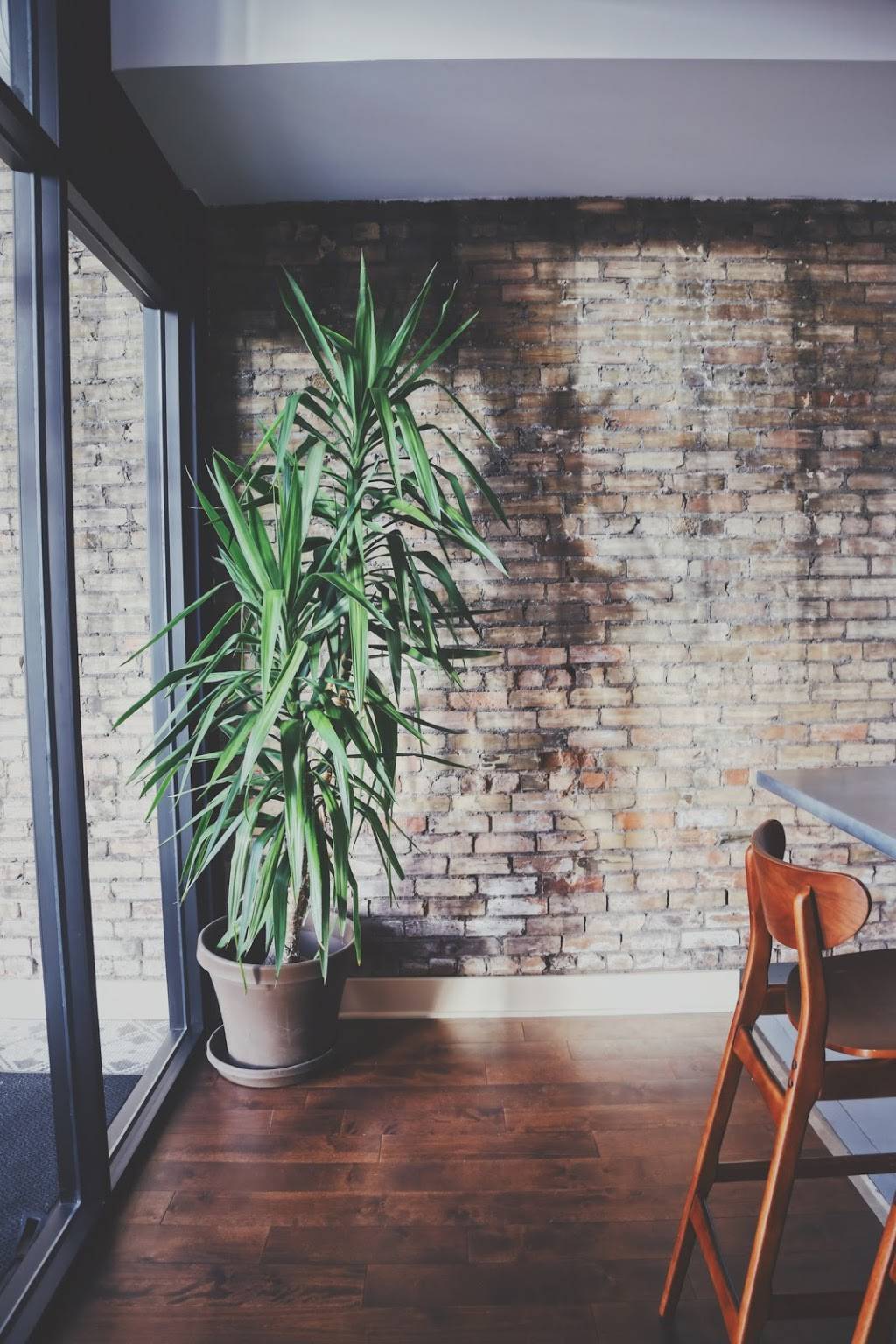 Bar Brava | restaurant | 1914 N Washington Ave, Minneapolis, MN 55411, USA | 6122081270 OR +1 612-208-1270