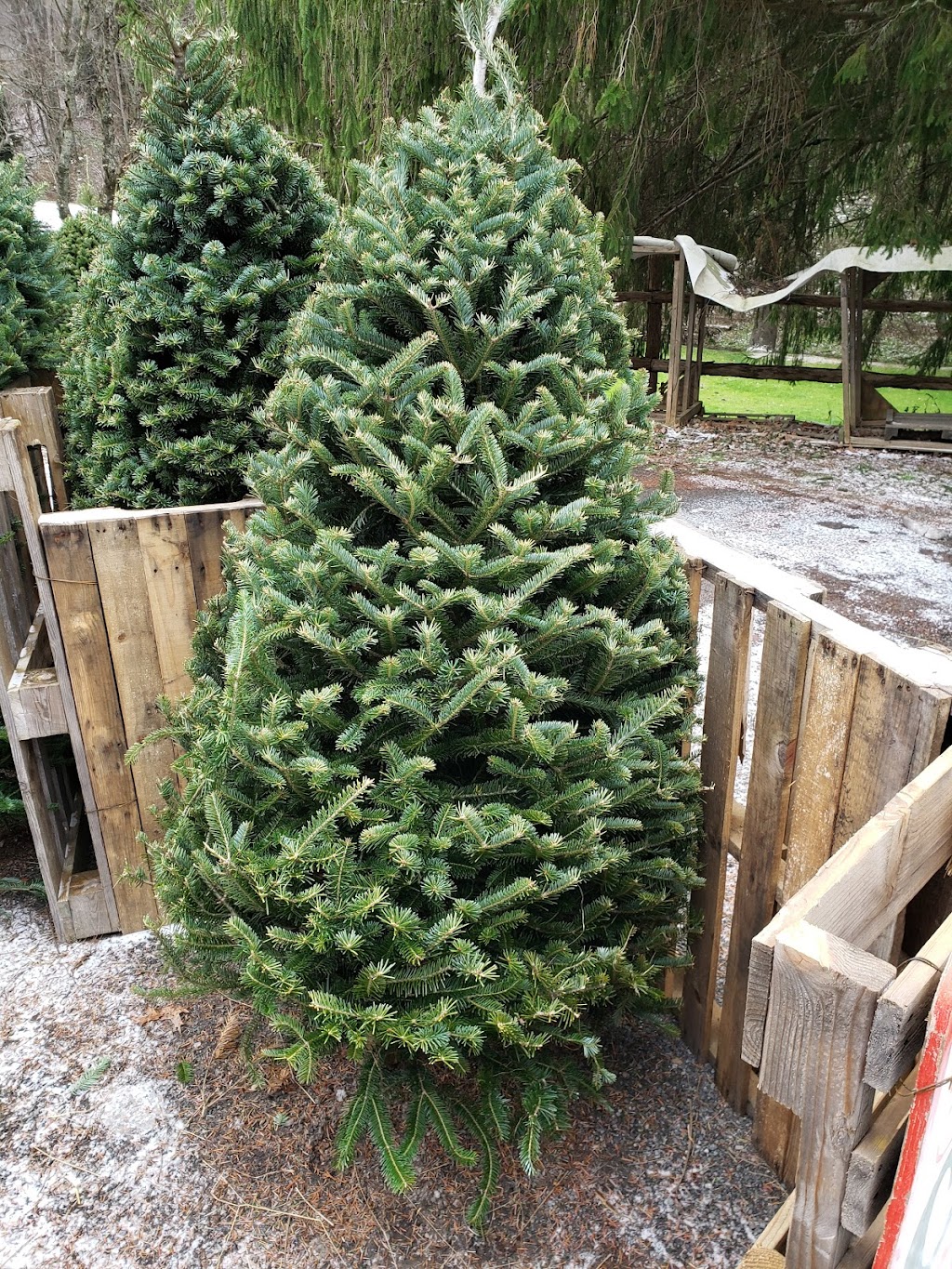 Deep Creek Grocery Gas & Liquor | meal takeaway | 3562 Swanton Rd, Swanton, MD 21561, USA | 3013875701 OR +1 301-387-5701