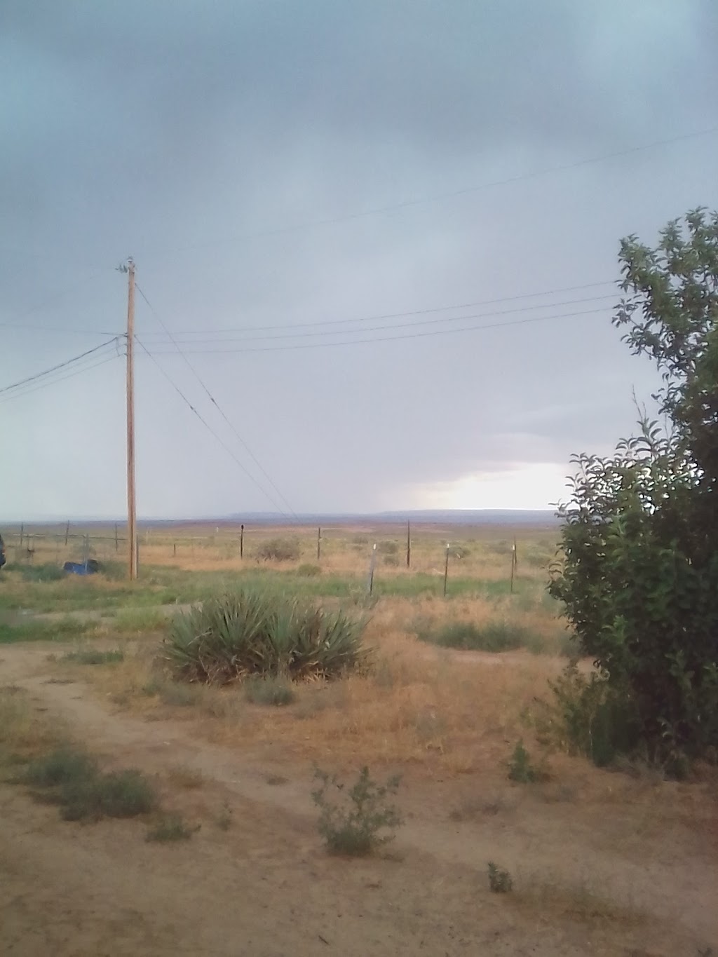 Shell | restaurant | 160 US-160, Shonto, AZ 86054, USA | 9284899510 OR +1 928-489-9510