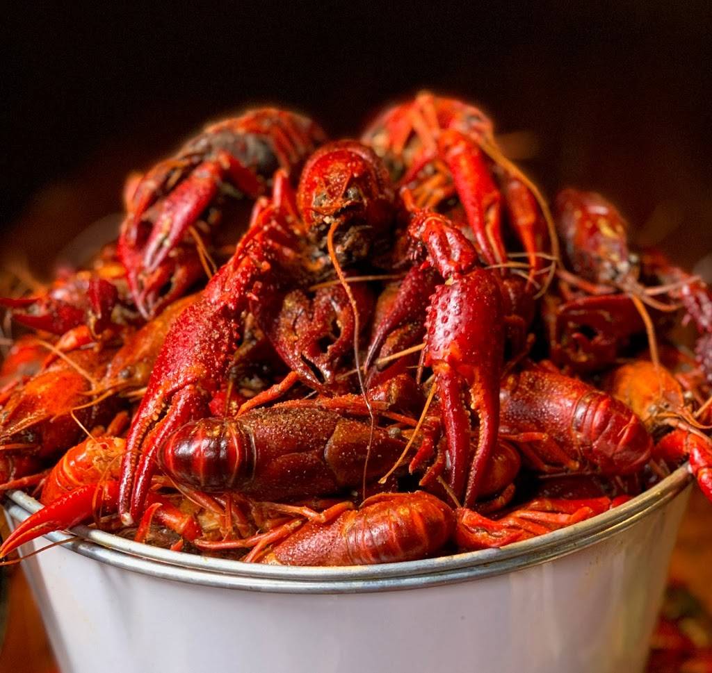 242 Pub & Grill | restaurant | 11525 FM 1097, Willis, TX 77318, USA | 9368568929 OR +1 936-856-8929