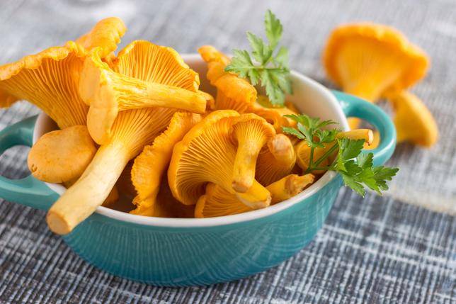 Ludwig Foods, Inc. | restaurant | 1270-1280 Mark St, Elk Grove Village, IL 60007, USA | 8478608646 OR +1 847-860-8646