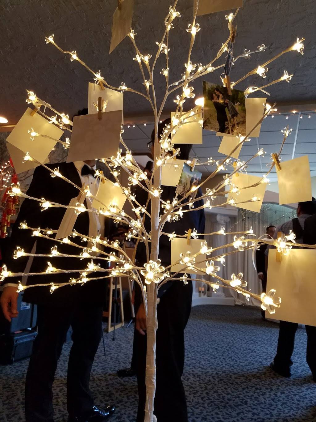 Lucky Dragon Restaurant | restaurant | 1827 Riverside Ave, Minneapolis, MN 55454, USA | 6123751690 OR +1 612-375-1690