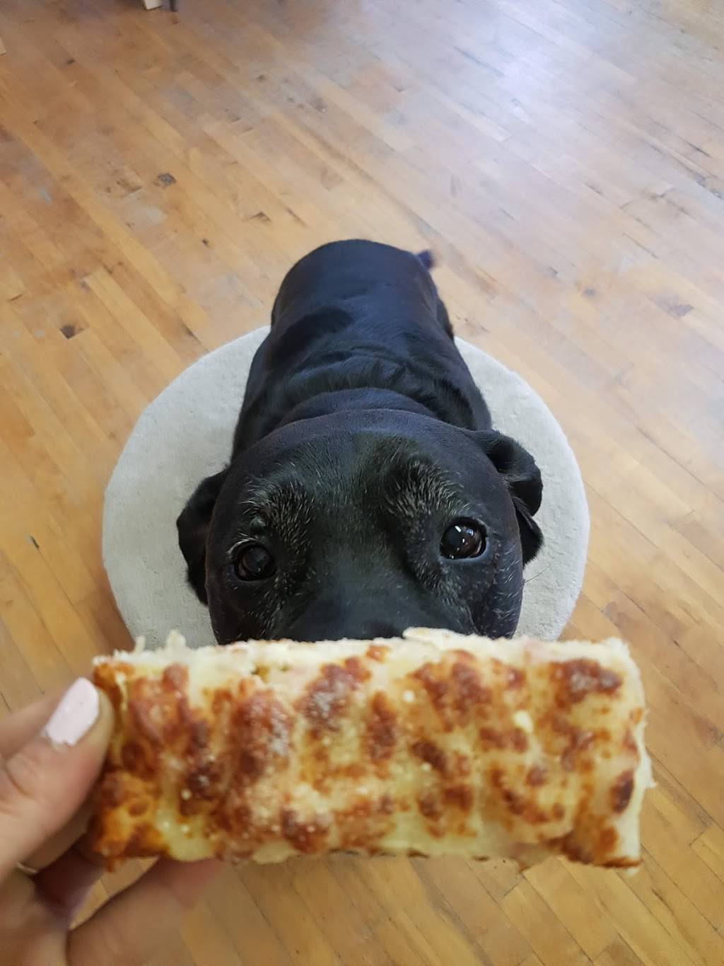 MJs Gourmet Pizza | restaurant | 11 Westwood Dr, Kitchener, ON N2M 2K5, Canada | 5193422272 OR +1 519-342-2272