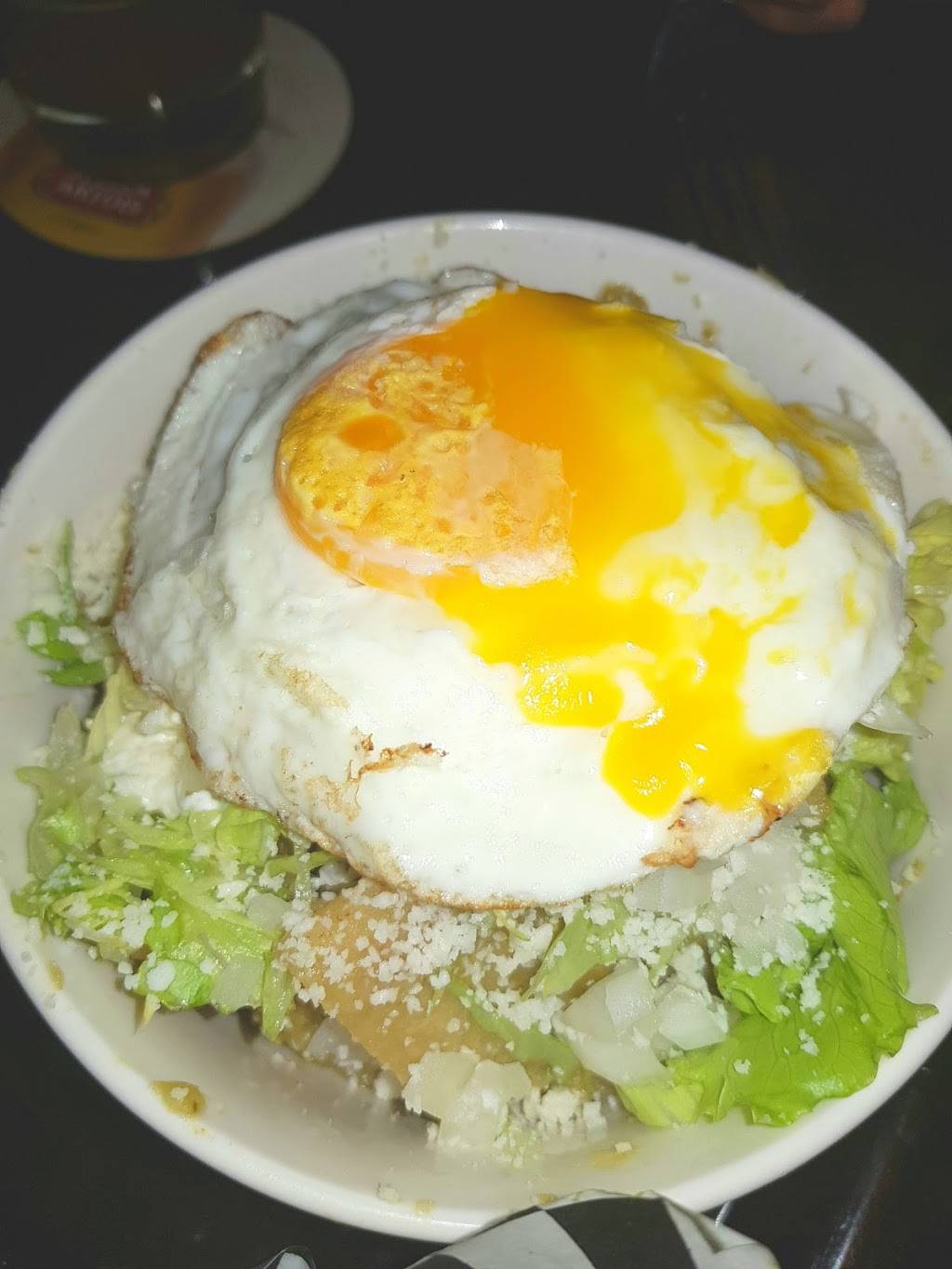 The Mozart | restaurant | 2830 W Armitage Ave, Chicago, IL 60647, USA | 7736879050 OR +1 773-687-9050