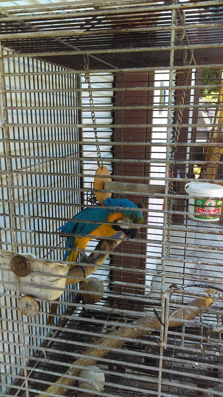 R & R Crab House | meal takeaway | 2410 W Beaver St, Jacksonville, FL 32209, USA | 9043843007 OR +1 904-384-3007