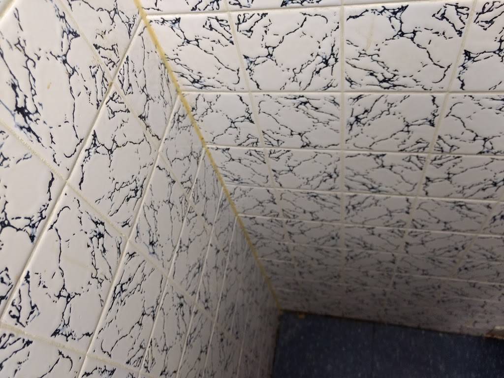 Daisy Restaurant | restaurant | 1200 Lansdowne St W, Peterborough, ON K9J 2A1, Canada | 7058768678 OR +1 705-876-8678