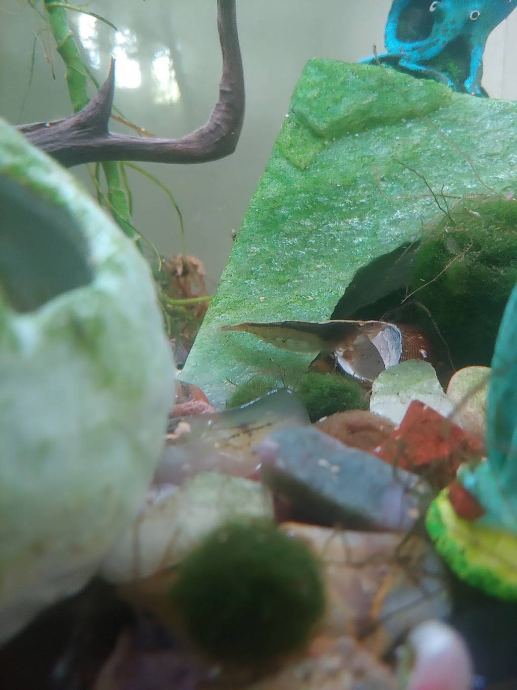 The Twist | restaurant | N1716 Hyacinth Ln, Greenville, WI 54942, USA | 9207576243 OR +1 920-757-6243