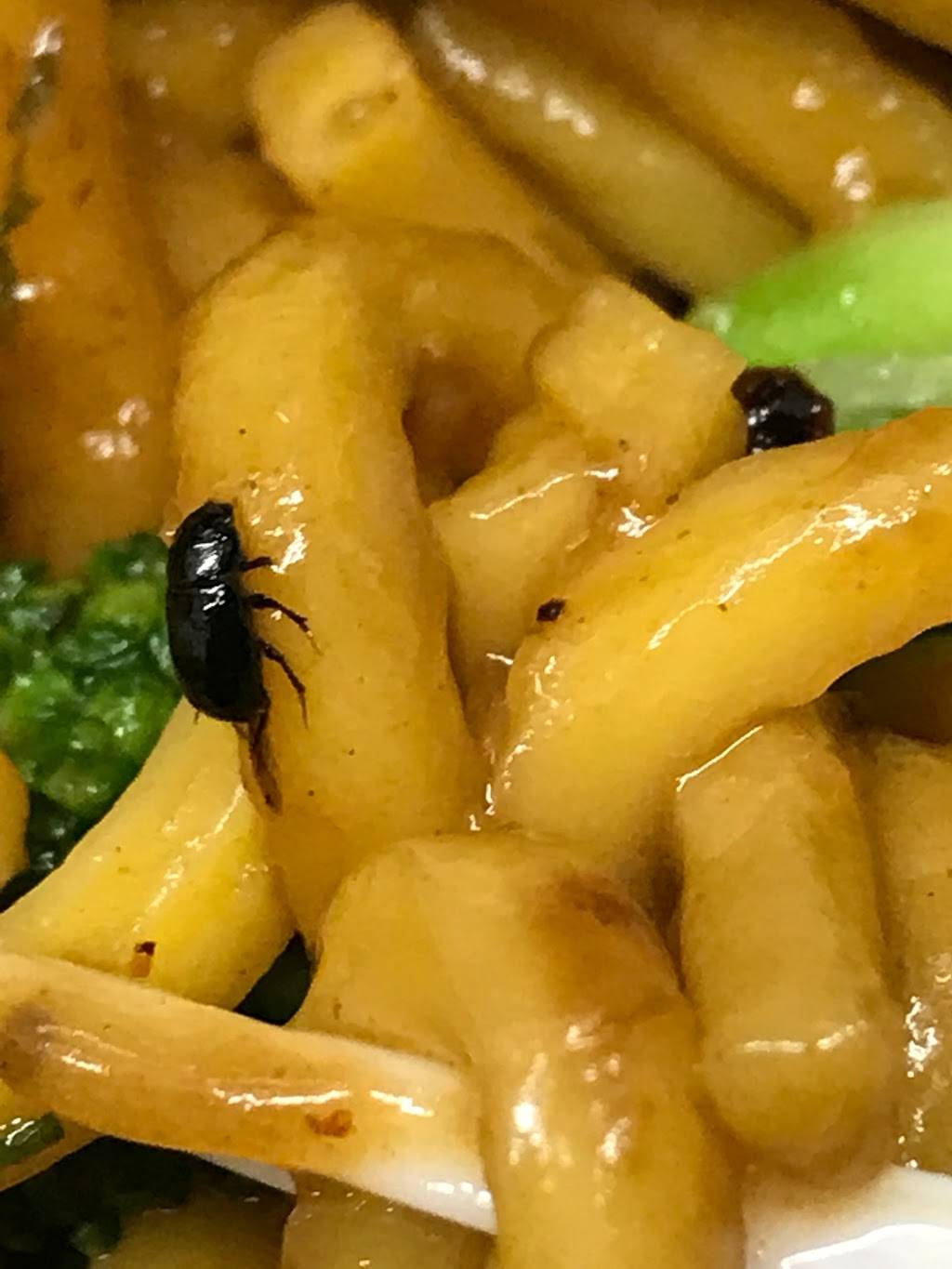 Taco Recipes | restaurant | 23 Essex St, New York, NY 10002, USA | 2123531886 OR +1 212-353-1886