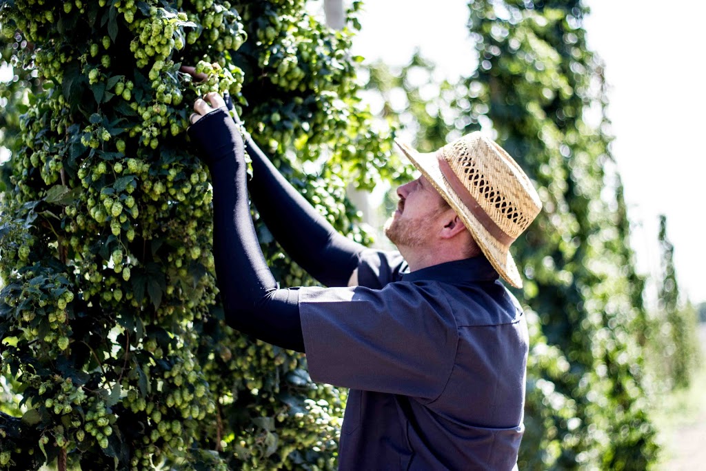 6th Meridian Hop Farm | restaurant | 4200 Alphonse Rd, Yankton, SD 57078, USA | 6056108249 OR +1 605-610-8249